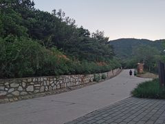 -北京西山国家森林公园