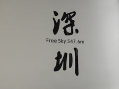 -平安金融中心云际观光层