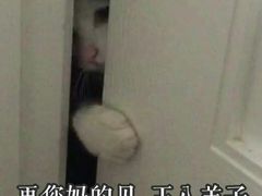 -二子烧烤(洪楼店)