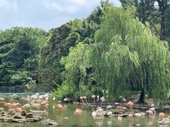 -宁波野生动物园