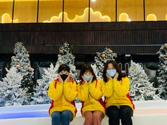 -世界之窗阿尔卑斯冰雪世界