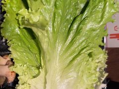 -新石器烤肉(中房金谊广场店)