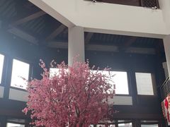 -苏州吴宫泛太平洋酒店