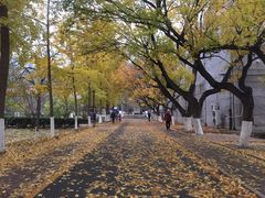 -山东师范大学(千佛山校区)