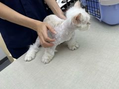 -拜鲁耶动物诊疗中心·宠家动物医院