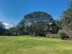 -中国科学院西双版纳热带植物园