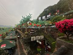 -枇杷园食为鲜火锅(南山店)