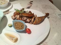 -青叶202都市餐厅(迪诺水镇店)