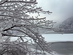-秦岭终南山世界地质公园翠华山景区