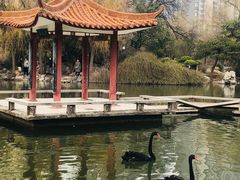 -西苑公园