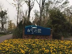 -白鹭湾湿地公园