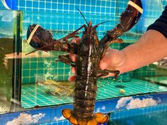 -坛南湾阿强农家乐.海鲜大排档老字号(福州地标美食店)