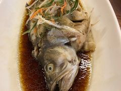 -大眼锅贴饺子(河西店)