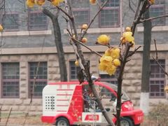 -山东大学(趵突泉校区)