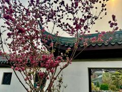 -0317火锅鸡·清真(正达店)