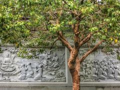 -阿育王寺