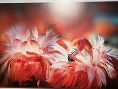 -罗红摄影艺术馆