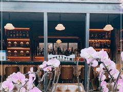 -Tubestation站点比萨(五道营店)