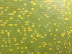 -香港皇家太平洋酒店