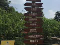 -秀丽东方