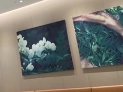 大堂-奈雪的茶(东莞汇一城店)