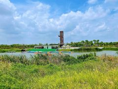 -春花秋色城市公园