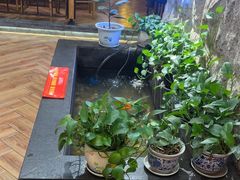 -金山烤肉(中兴公园店)