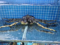 -前王院•巧克力海鲜市集餐厅(万平口店)