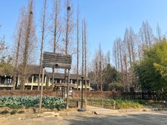 -乌村