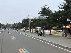 -日照海滨国家森林公园