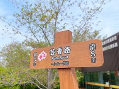 -顾村公园