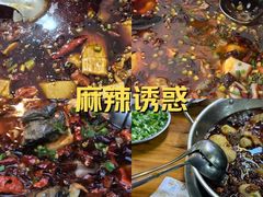 -黑竹香鸡(营和巷店)