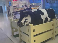 -红星前进面包牛奶公司(君太店)