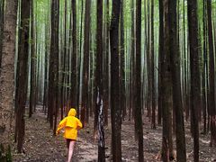 -山王坪喀斯特国家生态公园