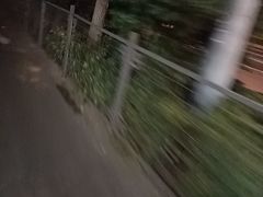 -山西会馆·晋菜·晋商宴·学堂记忆(许坦西街店)