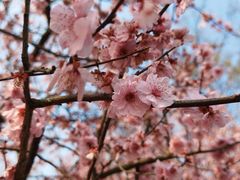 -白塘生态植物园