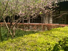 -上海市龙华烈士陵园