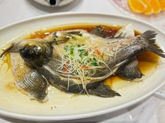 -刘胖子家常菜·蹄花焖藕(中南店)