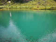 -靖西鹅泉风景区