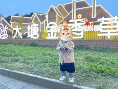 -大塘金香草谷