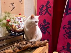 -南枝小馆(银鱼巷店)