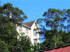 景点-银湖山郊野公园-相思林