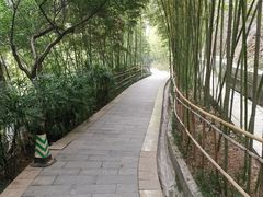 -龙头寺公园