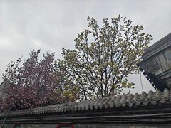 -五道营胡同