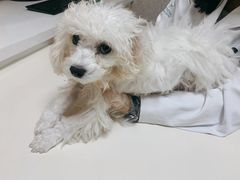 -谐和贝康宠物医院24小时·宠保定点(急重症转诊中心)