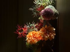 -墨锦轩·5D影院足浴·SPA(高新店)