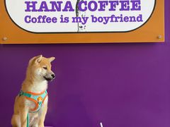 -HANA COFFEE(长寿路店)