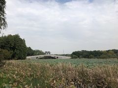 -东湖落雁景区