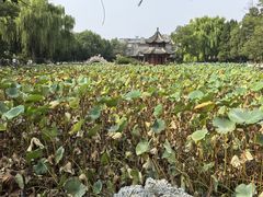-莲池书院博物馆