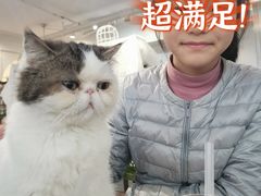 -共舞时光猫咖·狗咖(新街口店)